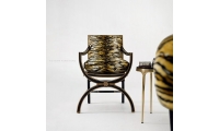 Macayla Mirrored Armchair