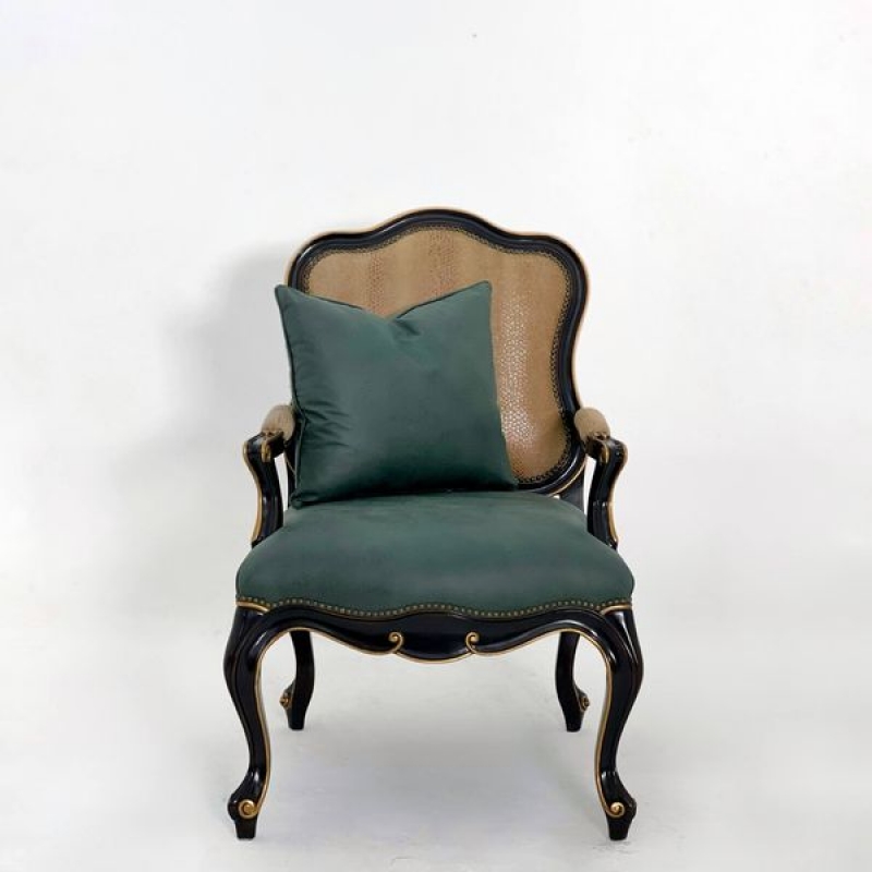 Coldblooded armchair 