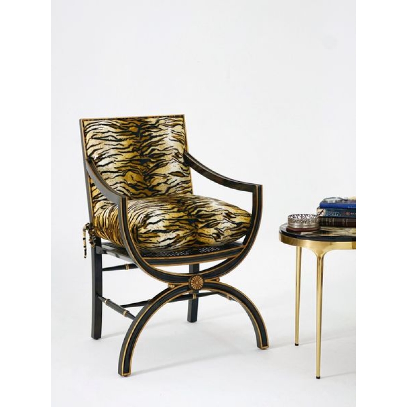 Macayla Mirrored Armchair