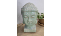Diện Phật 20cm - Shellis Green 