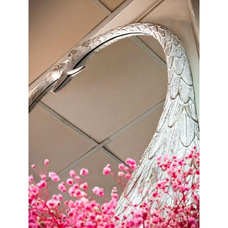 Gương cánh chim 9.25