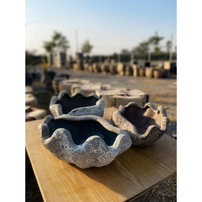 Chậu Atlantic hình vỏ sò